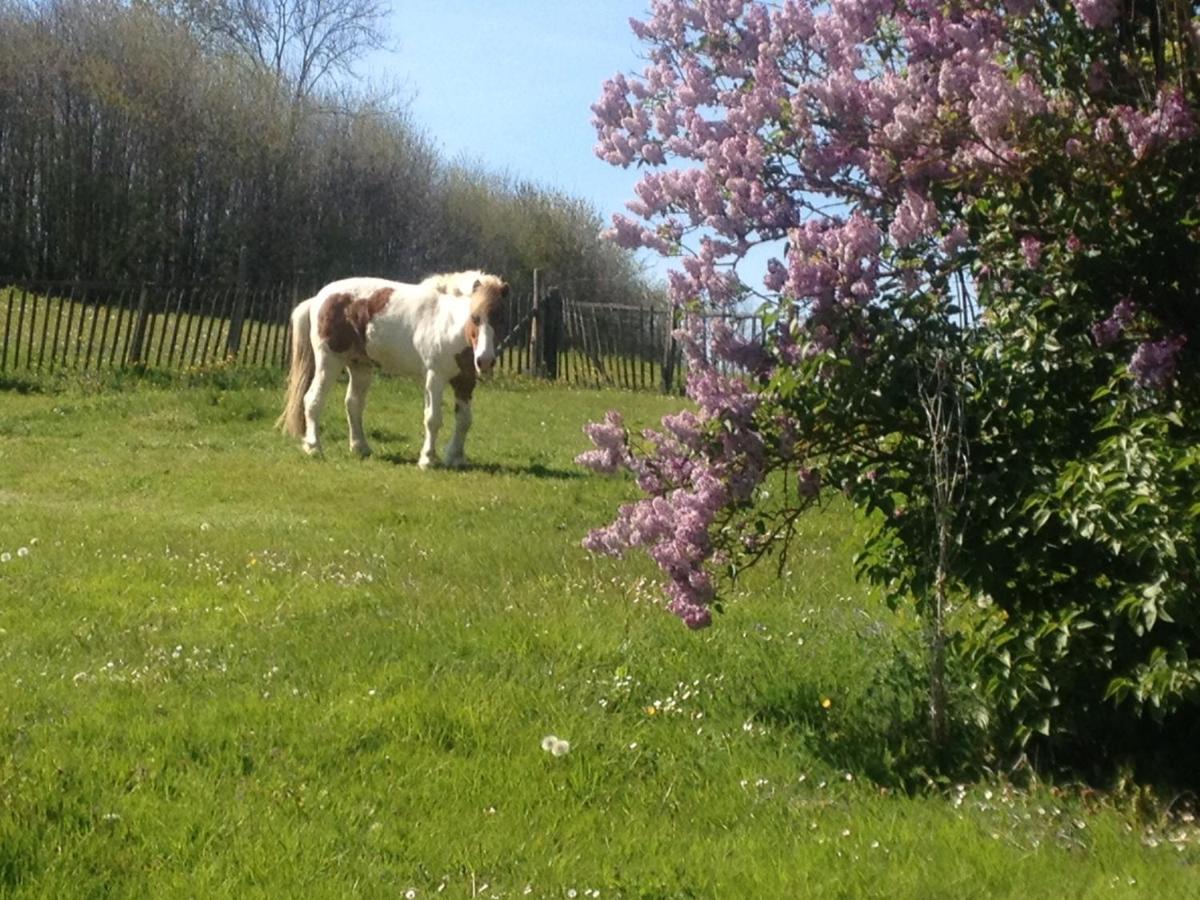 My Little Sweet Home Colombe  Buitenkant foto