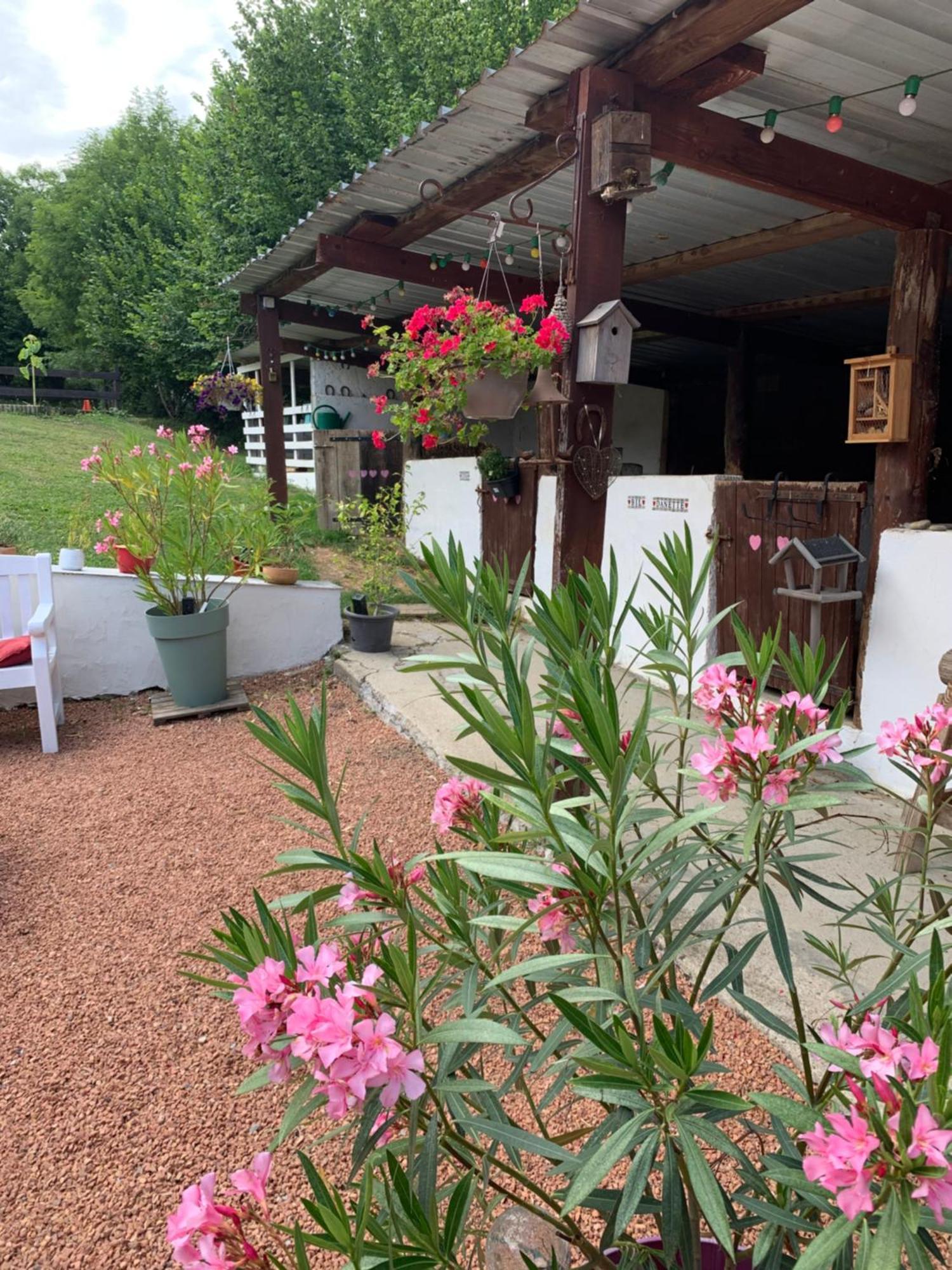 My Little Sweet Home Colombe  Buitenkant foto